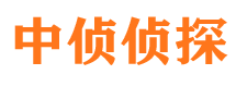 乌达寻人公司